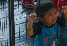La mayoría de los niños están en hogares de acogida locales y otros están en centros de organizaciones sin ánimo de lucro que dan servicios a niños y tienen contrato con el gobierno federal.