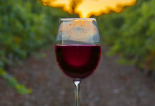 Tranquilidad, no necesitamos saber de geología para disfrutar de un buen vino Pedr0Gar / Shutterstock