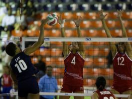 EE.UU. y República Dominicana disputarán el oro por segundo año consecutivo República Dominicana y Estados Unidos disputarán por segundo año consecutivo el partido por la medalla de oro de la Copa Panamericana Femenina de voleibol.