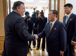Pompeo se encuentra en Tokio, donde se reunirá el domingo con sus homólogos japonés y surcoreana, Taro Kono y Kang Kyung-wha, para analizar los resultados del viaje.