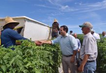 Ricardo Rosselló, convirtió en ley los proyectos de la Cámara 263 y 1166, así como la Resolución Conjunta del Senado 14, que promueven iniciativas que persiguen el desarrollo y el fortalecimiento de la agricultura