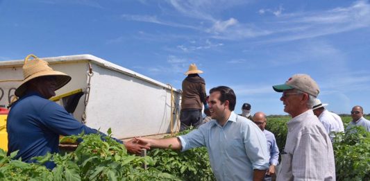 Ricardo Rosselló, convirtió en ley los proyectos de la Cámara 263 y 1166, así como la Resolución Conjunta del Senado 14, que promueven iniciativas que persiguen el desarrollo y el fortalecimiento de la agricultura