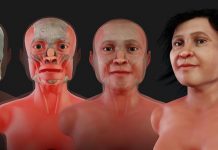 La reconstrucción es congruente con los análisis antropológicos y de ADN realizados a otros restos humanos encontrados en el área de Tulum.