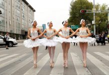 El ballet sale del teatro y se exhibe en cruces peatonales Durante los últimos fines de semana, el colectivo Ardentía Compañía de Danza ha acercado su expresión artística a la ciudadanía utilizando espacio públicos