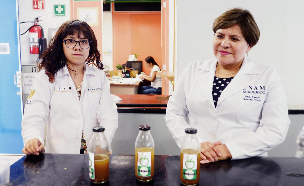 La académica Raquel Gómez Pliego, de la Facultad de Estudios Superiores (FES) Cuautitlán de la Universidad Nacional Autónoma de México (UNAM) y sus alumnos Samanta González y Adrián Olivares, de Química Industrial, se inspiraron en la bebida tradicional china kombucha