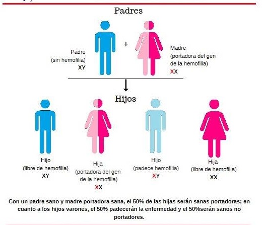 El diagnóstico oportuno y el desarrollo de tratamientos innovadores son los retos de la hemofilia, una enfermedad que no es curable y que afecta a unas 400.00 personas en el mundo