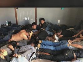Descubren 62 inmigrantes indocumentados escondidos en Texas Un grupo de 62 inmigrantes indocumentados fue descubierto por la Patrulla Fronteriza