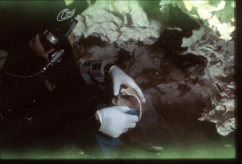 que muestra al buzo Octavio del R&iacute;o mientras toma muestras en una cueva acu&aacute;tica en Chetumal, estado de Quintana Roo 