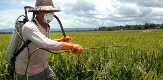 El clorpirifós es uno de los insecticidas más ampliamente utilizados en los Estados Unidos. Se utiliza en numerosos cultivos alimenticios y el pesticida actúa inhibiendo una enzima que es clave para el correcto desarrollo