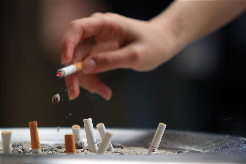 El gobernador de Nueva York, Andrew M. Cuomo, firm&oacute; hoy una legislaci&oacute;n para proteger a&uacute;n m&aacute;s a los ni&ntilde;os de la exposici&oacute;n al humo de tabaco de tal forma que el estado proh&iacute;be por ley que las personas fumen en las instalaciones que brindan servicios de cuidado infantil, incluidas las casas privadas.