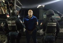 Víctor Manuel "N", alias comandante Viento o el Pantera 16 y considerado un líder del cártel del Golfo en el nororiental estado mexicano de Tamaulipas, fue detenido en el balneario de Puerto Vallarta,