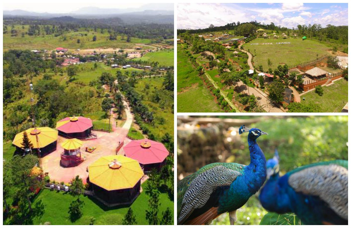 El zool&oacute;gico Joya Grande, ubicado al norte de la capital hondure&ntilde;a, fue incautado por el Gobierno a Javier Heriberto Rivera Maradiaga, l&iacute;der de la banda narcotraficante Los Cachiros, y su hermano Devis Leonel y luego fue traspasado a la Oficina Administradora de Bienes Incautados (Oabi).