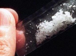 En 2017, hubo 1487 muertes por sobredosis de drogas en la ciudad de Nueva York; es decir, un aumento del 2 % comparado con el aumento del 51 % que se había registrado en 2016.