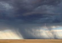 ¿Por qué sentimos el olor de la lluvia?