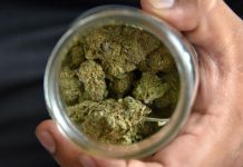 Fiscal de Manhattan desestima de golpe 3.024 casos sobre marihuana El fiscal del distrito de Manhattan, Cyrus R. Vance, compareció hoy en un tribunal neoyorquino y desestimó de golpe 3.042 antiguos casos de posesión y consumo de marihuana para evitar los procesos penales y sus consecuencias sociales y raciales.