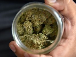 Fiscal de Manhattan desestima de golpe 3.024 casos sobre marihuana El fiscal del distrito de Manhattan, Cyrus R. Vance, compareció hoy en un tribunal neoyorquino y desestimó de golpe 3.042 antiguos casos de posesión y consumo de marihuana para evitar los procesos penales y sus consecuencias sociales y raciales.