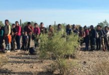 Patrulla Fronteriza investiga el paso de grandes grupos de inmigrantes