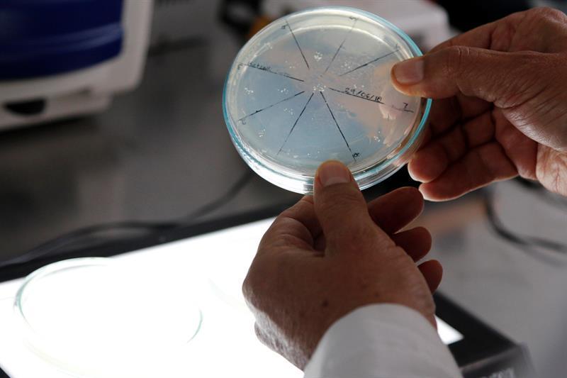bacterias Científicos que midieron por primera vez la exposición química y biológica a nivel personal afirmaron hoy en un reporte que
