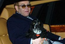 El diario The Sun difamó a Elton John al exagerar un incidente con su perro El tabloide británico publicó en la primera página del periódico en febrero de 2016 una noticia en la que aseguraba que el perro del matrimonio había atacado a una niña de cinco años provocándole heridas