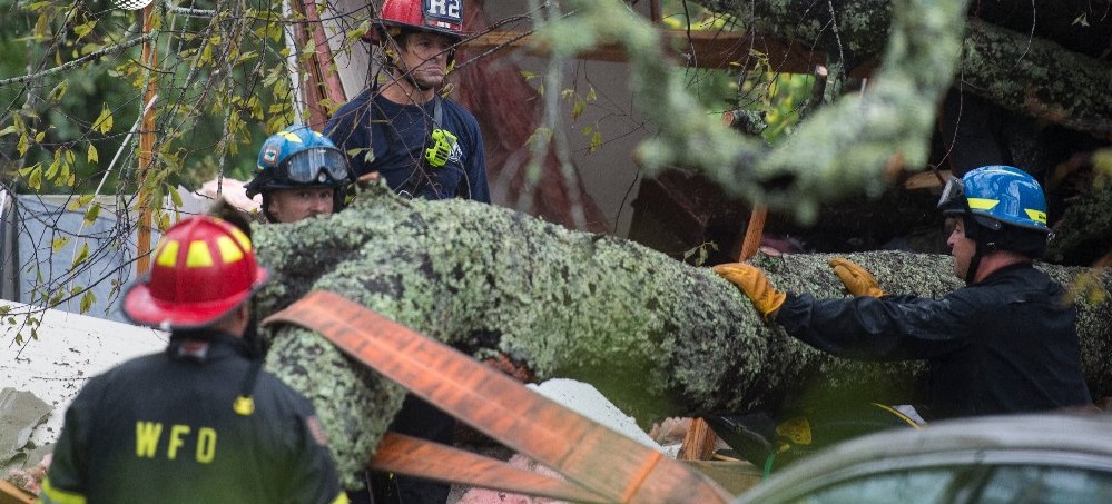Dos personas han muerto despu&eacute;s de que un &aacute;rbol cayera sobre su vivienda en la ciudad de Wilmington, en Carolina del Norte 