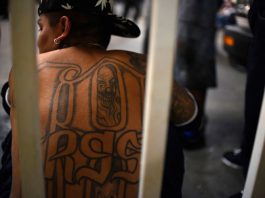 Pandillero de la MS-13 condenado a mínimo de 20 años por asesinato La Justicia de El Salvador envío a prisión preventiva a más de 300 miembros de la pandilla Mara Salvatrucha (MS13), incluidos varios líderes, y al alcalde opositor Benjamín Machuca. (Foto de twitter)