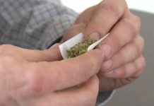 No más arrestos en Nueva York por fumar marihuana en público