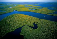 Firman convenio en Ecuador contra deforestación de la Amazonía