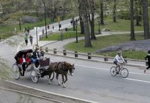 El alcalde de Nueva York, Bill de Blasio, que ha intentado sin éxito eliminar de la ciudad los carruajes tirados por caballos desde el inicio de su administración