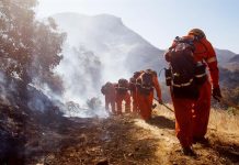 Los bomberos trabajan para extinguir un incendio del incendio de Woolsey en una colina en West Hills, California