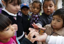 Hay más niños sin cobertura médica, y los latinos son los más afectados la cantidad de niños sin cobertura aumentó a 3.9 millones en 2017, de aproximadamente 3.6 millones el año anterior.