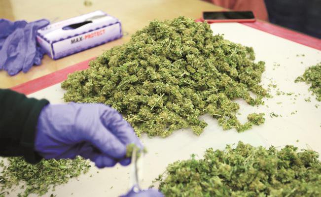 canabis en México, liberó hoy comercialmente los primeros productos, incluyendo alimentos, suplementos y cosméticos, elaborados a base de cannabis.