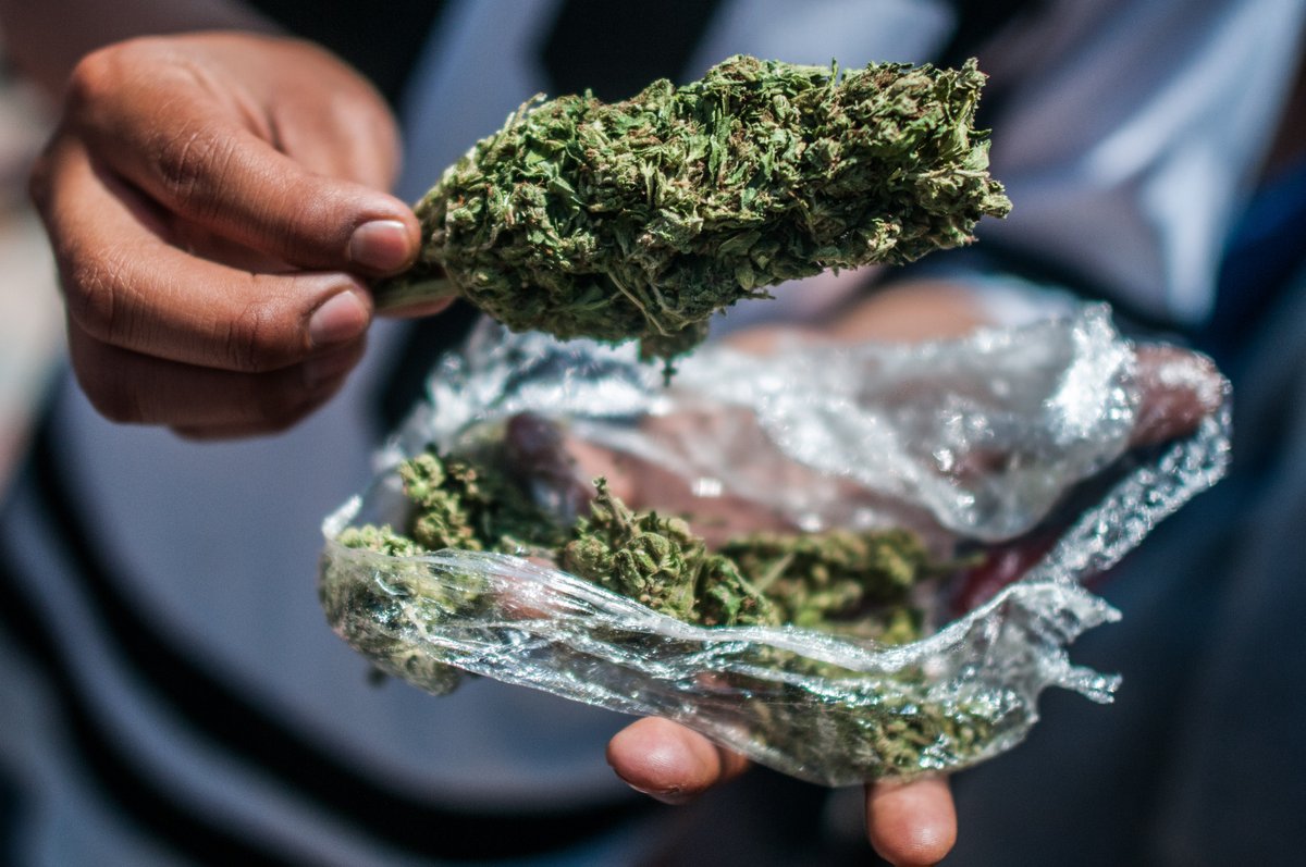 Los arrestos por posesi&oacute;n o consumo de marihuana descendieron en un 96 % en octubre de este a&ntilde;o en comparaci&oacute;n con el a&ntilde;o pasado, con solo 21 casos frente a los 540 del mismo mes de 2017