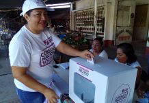 Autoridad electoral dice que 1.309 observadores extranjeros revisarán elecciones en México La segunda consulta ciudadana impulsada por el mandatario electo de México, Andrés Manuel López Obrador, que entre otros puntos pregunta sobre la construcción del ambicioso Tren Maya, culminó hoy la primera de sus dos jornadas