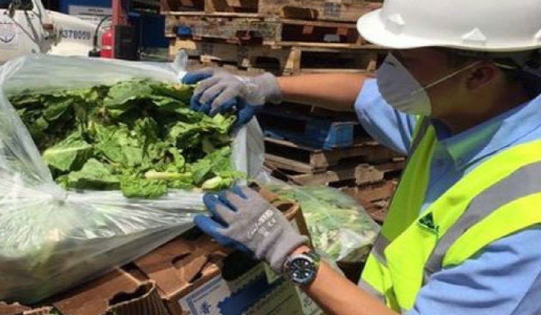 Panamá suspendió hoy la importación de lechuga romana y de otra variedades procedentes de Estados Unidos y ordenó la retirada 