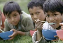 Experto cuestiona las "soluciones tecnológicas" en lucha contra malnutrición