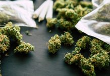 Los arrestos relacionados con la marihuana descendieron un 96 % en Manhattan
