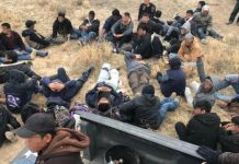 Gobierno arrestó a un 11% más de inmigrantes en el año fiscal 2018, que concluyó en septiembre.