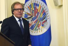 Almagro promete "justicia" para víctimas de cubanos en Nicaragua y Venezuela Luis Almagro, prometió hoy que acabará con la "impunidad" con la que actúa el Ejecutivo cubano y "hará justicia" en países, como Venezuela y Nicaragua.