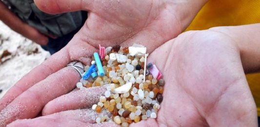 Numerosos estudios demuestran que los trozos más pequeños en los que se descomponen nuestras basuras plásticas son ingeridos por los peces.