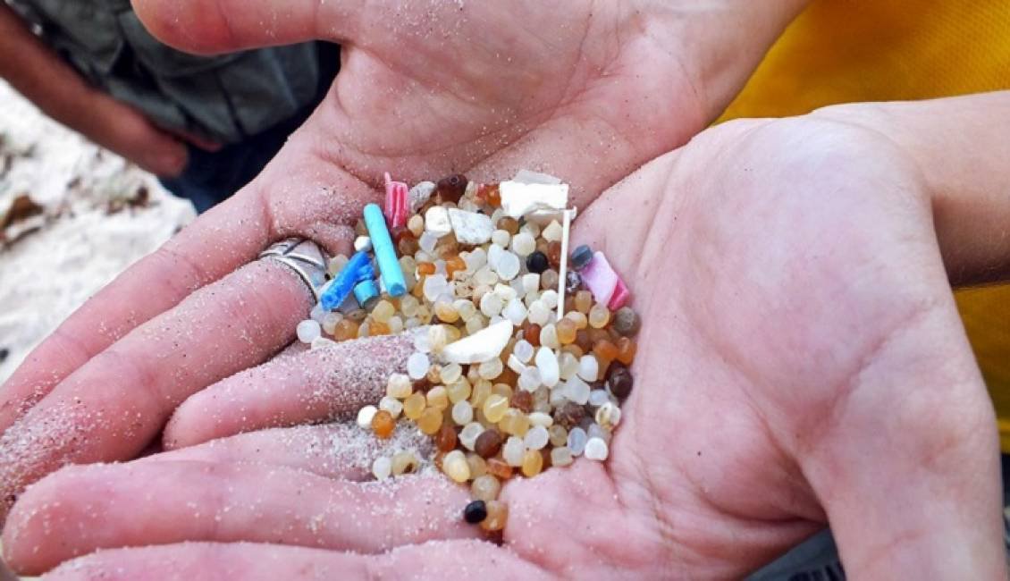 Numerosos estudios demuestran que los trozos m&aacute;s peque&ntilde;os en los que se descomponen nuestras basuras pl&aacute;sticas son ingeridos por los peces.