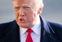 Mayoría prefiere que Trump evite un cierre del Gobierno a construir el muro El presidente Donald Trump.