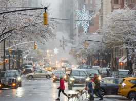 Madison Avenue . Foto de Julienne Schaer NYC & Company