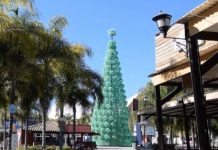 Realizan en Acapulco el primer árbol navideño hecho de botellas en México Esta iniciativa surgió con el objetivo de crear conciencia medioambiental en la población y generar una cultura de reciclaje.
