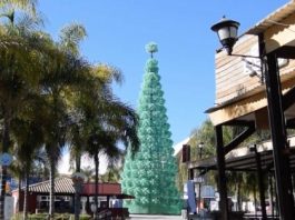 Realizan en Acapulco el primer árbol navideño hecho de botellas en México Esta iniciativa surgió con el objetivo de crear conciencia medioambiental en la población y generar una cultura de reciclaje.