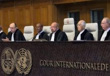 Las disputas entre países latinoamericanos copan la agenda de la CIJ en 2019 La Corte Internacional de Justicia (CIJ) tiene previsto anunciar en 2019 las fechas de los alegatos orales de litigios que Chile, Bolivia, Nicaragua y Colombia mantienen en La Haya.