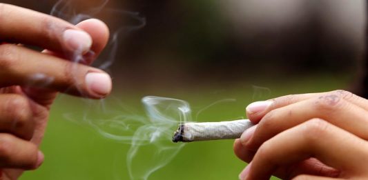 Neurólogos y farmacólogos no saben cómo medir si la marihuana causa deterioro, y hasta qué punto.