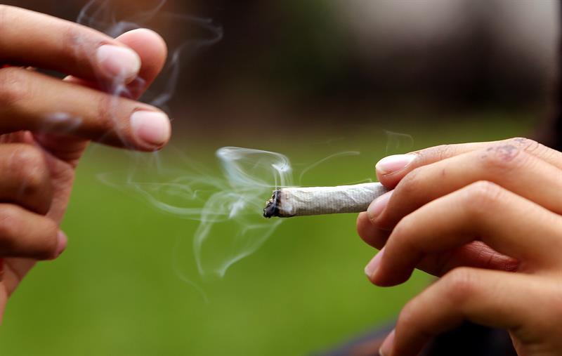 Neurólogos y farmacólogos no saben cómo medir si la marihuana causa deterioro, y hasta qué punto.