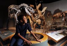 En este estado, 23 museos ofrecen entrada gratis a empleados federales, como el Museo de Naturaleza y Ciencia de Denver.