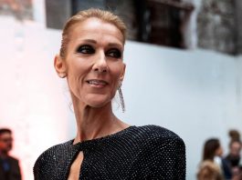 La vida de la cantante canadiense Céline Dion dará forma a la película "The Power of Love", un "biopic" que prepara el estudio francés Gaumont