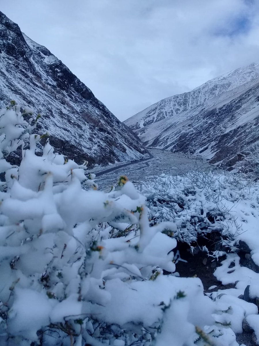 El valle de Elqui (Chile).